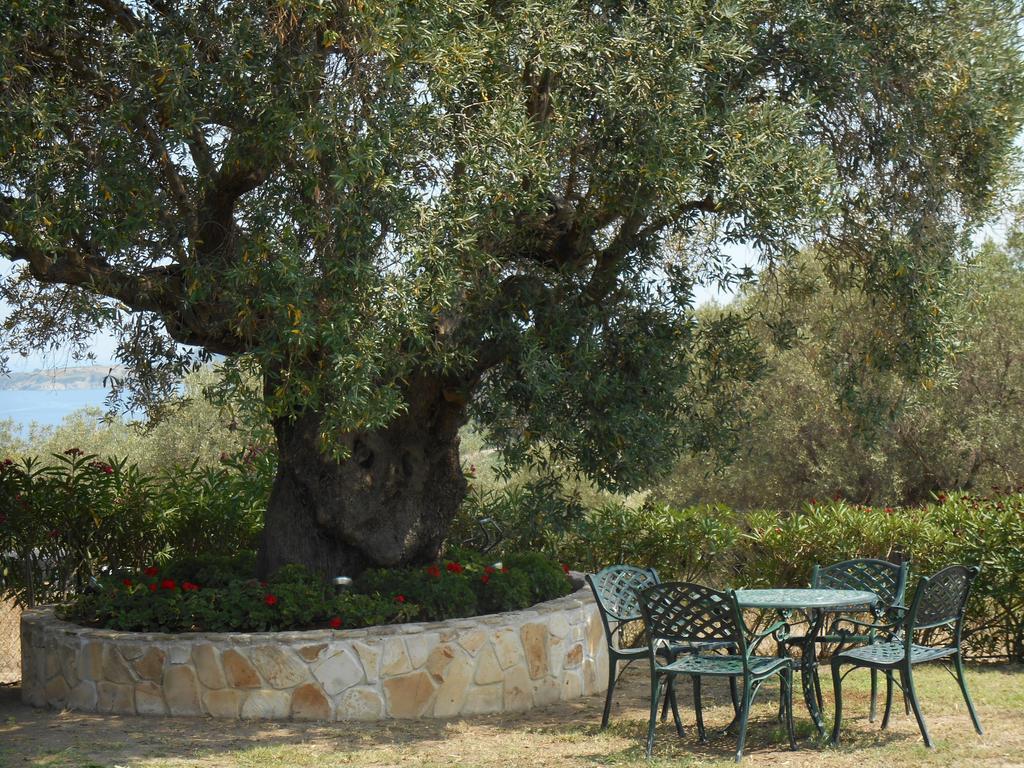 הוילה אורמוס פנגיאס Heliactida House מראה חיצוני תמונה